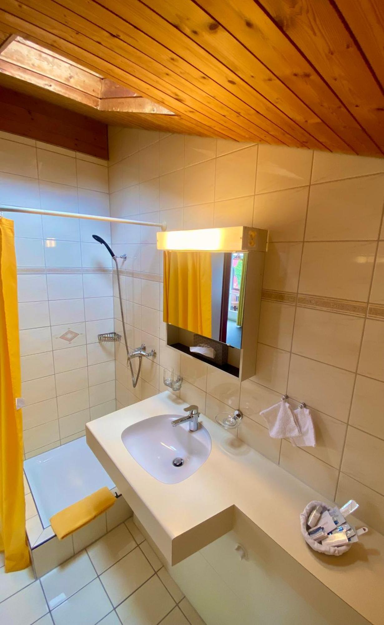 Mini-hôtel Zum Roten Loewen